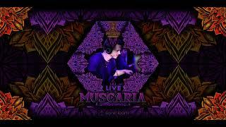 Muscaria Live Set Psyland