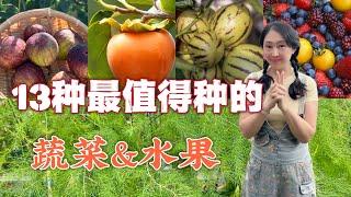 【Garden99】13 types of vegetables and fruits worth growing in backyard | 13种超级值得种的蔬菜水果，性价比高，种起来才划算