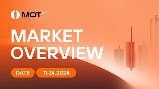 Market Overview 2024.11.24