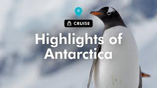 TripADeal - Highlights of Antarctica with Hurtigruten Expeditions