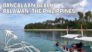 The Pure Shores of Bancalaan in Balabac Islands | Batarazza, Palawan Province, The Philippines