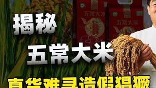 五常大米是哪五常？你买到的真的是正宗五常大米吗？