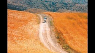 The Wind Will Carry Us - Films of Abbas Kiarostami