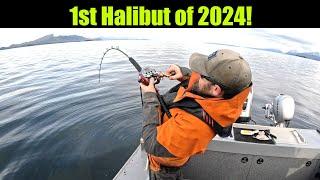 1st Halibut of 2024! Alaskan Halibut Fishing - Juneau, Alaska! April 2024 #alaska #halibut #bigfish