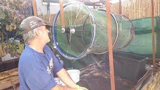 How I turn vermicompost into "black gold" vermicast, using a homemade  bicycle-wheel harvester.