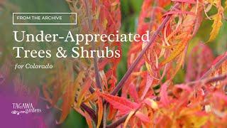 Under-Appreciated Trees & Shrubs for Colorado by Tagawa Gardens &  Mike Landers, Certified Arborist