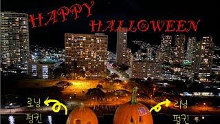 #하와이할로윈 #하와이1년살기 #하와이브이로그 #하와이일상 #hawaii #holloween2021 #할로윈펌킨 #waikiki