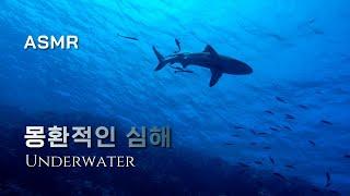 [ASMR] 몽환적인심해  너의이름은 OST, 미츠하테마, 황혼의 시간  Underwater, music, piano, sleep, Relaxing water, ambience