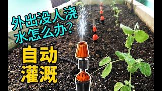 不在家植物没人浇水怎么办？自动灌溉给你的自由