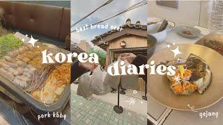 korea diaries ep. 5 | Ppeum Clinic, Shinsaegae, Gebang Sikdang, Lotte Department Store