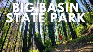 Hiking Big Basin State Park in 2024