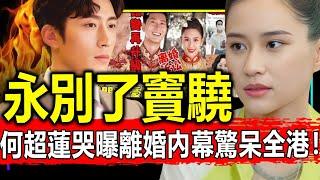 1年婚姻正式告吹？何超蓮忍無可忍曝離婚內幕？永別了，竇驍！【娛情娛理】