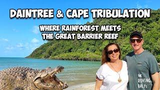 Daintree Rainforest: Best Road Trip from Cairns Australia