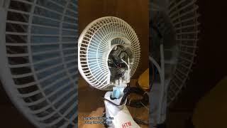 Customize Electric Fan using DC Motor | Javier's DIY