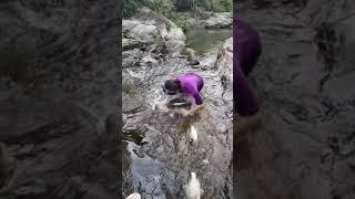 Techniques fishing, Amazing Rural Asian fishing best fishing with Phann Phuy Fishing