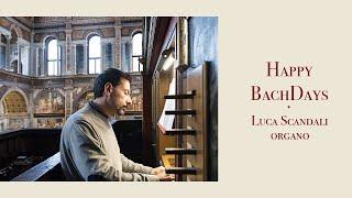 Happy BachDays - Luca Scandali, organo