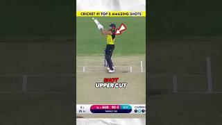 Cricket के 5 Amazing Shots  ft.Mr Hostler #shorts#short