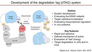 New Horizons for Protein Degradation