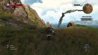 The Witcher 3: Unbelievable crossbow shot!