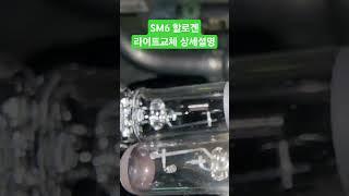 SM6 할로겐 전조등교체 상세 설명