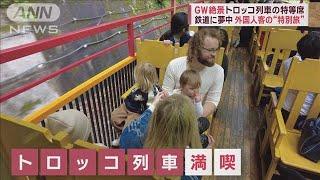 GW絶景　トロッコ列車の特等席　桜トンネルに渓谷25分の極上旅(2023年5月2日)