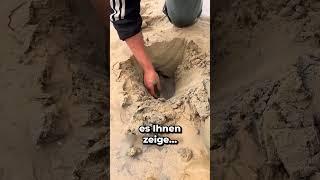 IM SAND GRABEN, um einen SCHATZ ZU FINDEN! 