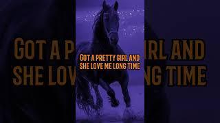 Beautiful Black Horse edit • One Dance with lyrics #shorts #capcut #universal #warnerbros