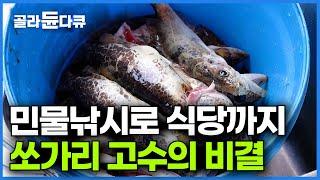 새벽엔 호수에서 쏘가리 잡고 점심엔 매운탕 파는 낚시 달인의 하루│제천 청풍호 민물 낚시 고수의 비결│고향민국│#골라듄다큐