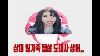 상어가족 도여사 . ver