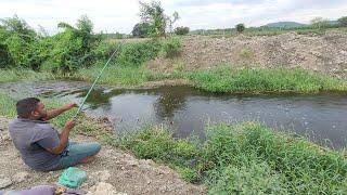 Best Single Hook Technique|Fisherman Catching Tilapia fishes in Village Deep Ponds|Unique fishing