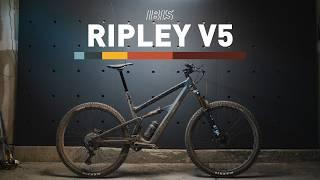 Ibis Ripley V5 Review: Is it overbuilt?