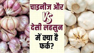 Chinese Garlic Difference: देसी और चाइनीज़ लहसुन की ऐसे करें पहचान, देखें पूरी वीडियो