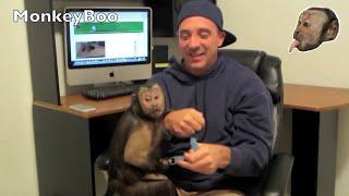 MonkeyBoo's 50th Video! with Baby Boo