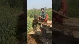 Village Girl Village Life #viral #villagelife #shorts