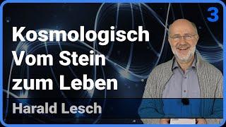 Kosmologisch (3/3) • Vom Stein zum Leben • Live im Hörsaal | Harald Lesch