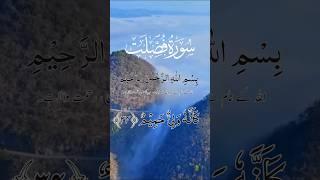 Quran Tilawat #islamicvideo #onlyislamicvideo #shorts