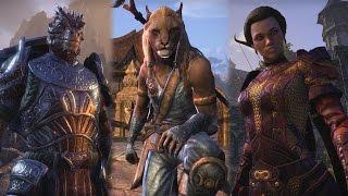 The Elder Scrolls Online: Introducing One Tamriel