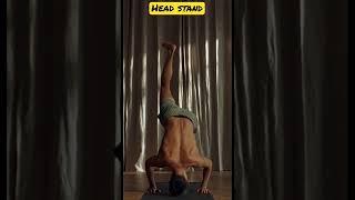 Head Stand (Yogi) #yoga #yogi #relaxtube