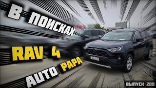 Ищем RAV-4 в Грузии! Обзор актуальных цен Автопапа.Мастер Вадя.#mastervadya #autopapa #toyota #rav4