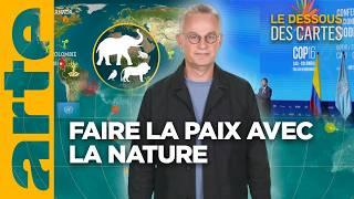 COP 16 : Sauver la biodiversité | L'Essentiel du Dessous des Cartes | ARTE