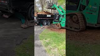 " New Day Property Cleanup " Hauling Away Debris from A Shed Removal