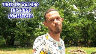 I'M TIRED OF WALKING MY 13 AC OFFGRID HOMESTEAD | couple builds tiny house  homesteading off-grid |