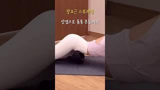 폼롤러 고민이라면 이건 어때? #홈트레이닝 #뱃살 #장요근 #쉐이피코어 #에르고바디 #스트레칭 #거북목 #일자목 #허리통증 #스트레칭운동
