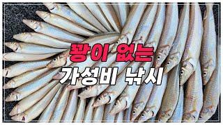 이렇게 잘 잡히는데 다들 몰라서 못 먹는 고급 생선