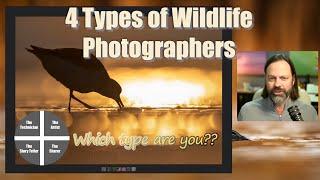 Archetypes of Wildlife Photography, Which One Are You?