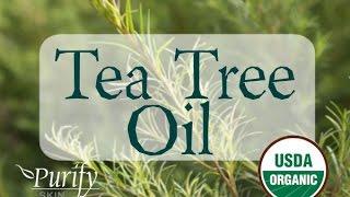 Tea Tree (Melaleuca) Essential Oil, All You Ever Need To Know