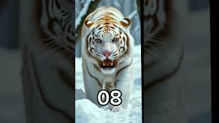 Top 10 Biggest Animals In The World  #animals #history #bigest