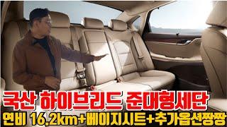 생각보다 잘 만든 국산 하이브리드 세단! 연비 걱정없이 큰 차 타세요