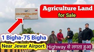 Agriculture Land Near Jewar Airport | Jewar 1 Bigha Land | Jewar Acre Land Sale | Jewar Agriculture