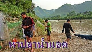 ลุยเดี่ยวลาว EP26:หาปลาน้ำแอด สบแอด(บริเวณน้ำแอดไหลลงน้ำม้า) ธรรมชาติสองฝั่งแม่น้ำ